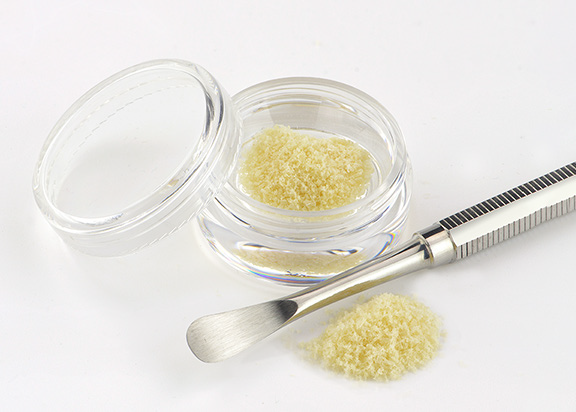 Principles of Bone Grafting